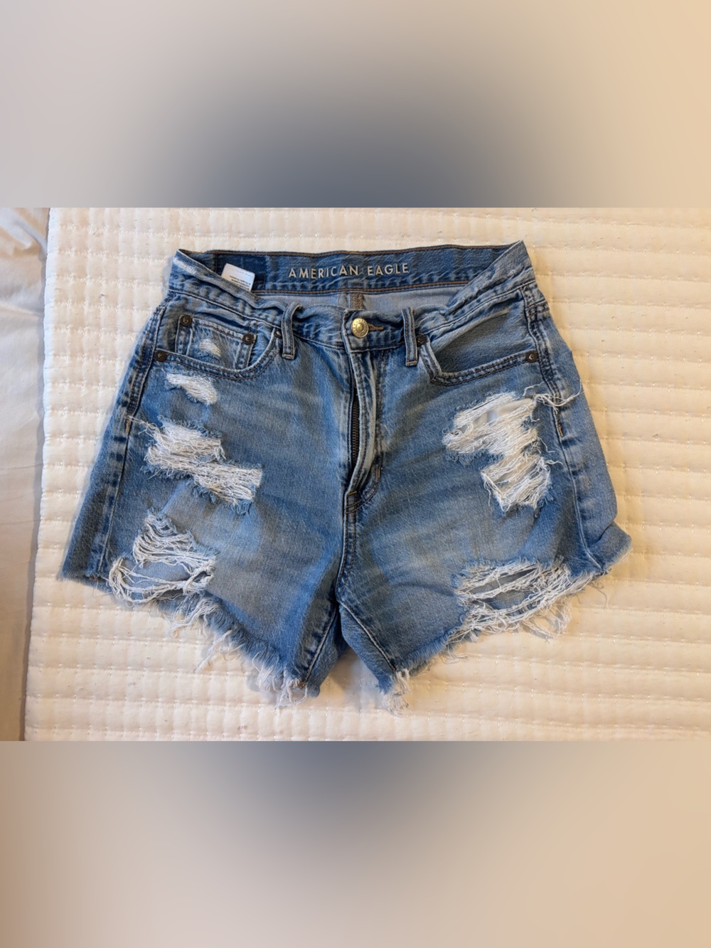 American Eagle Outfitters Distressed Light Blue 90s boyfriend Shorts